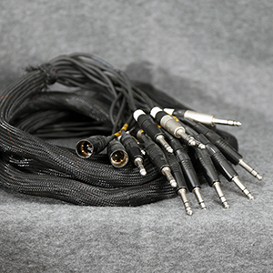 Snake Jack / Bantam