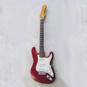 Fernandes Strat