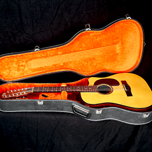 Levin W-12-38 in Guitar Case