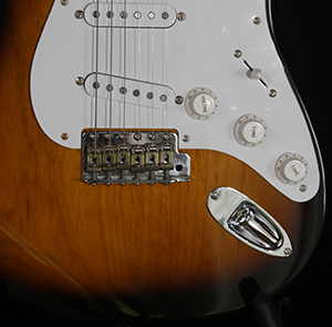 Tokai Detail Body